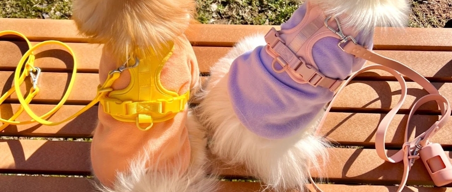 petkaa-waterproof-dog-leashes-benefits