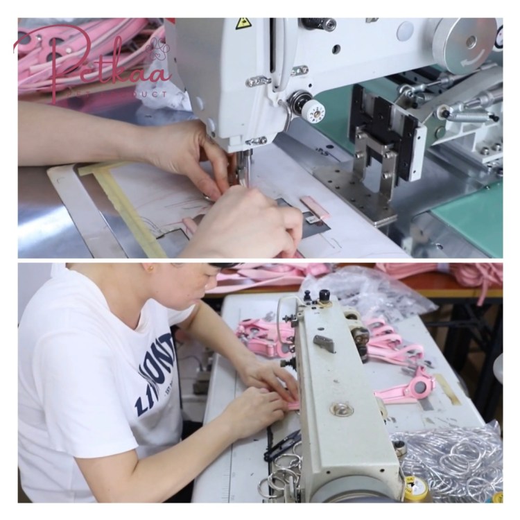 petkaa-pet-accessories-supplier